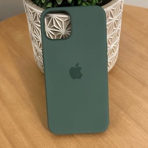 iPhone 13 MagSafe silicone apple case Eucalyptus